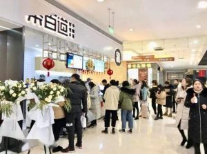 青岛加拿大28加盟费是多少？